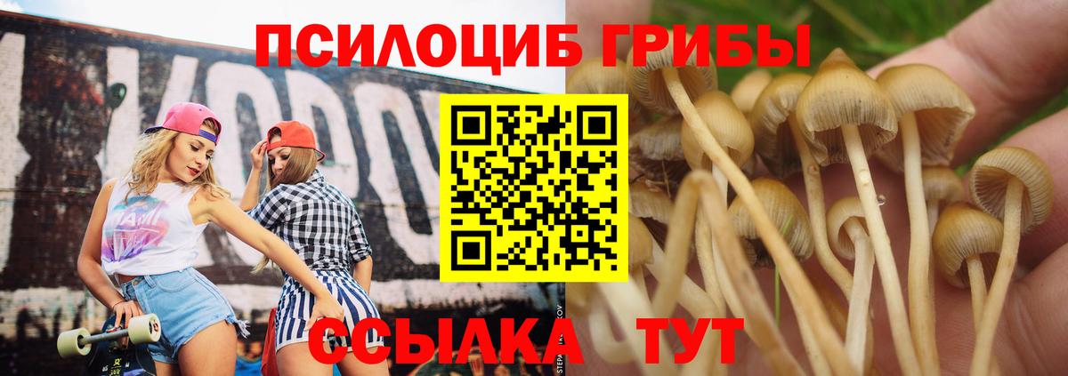 Галлюциногенные грибы прущие грибы Троицк